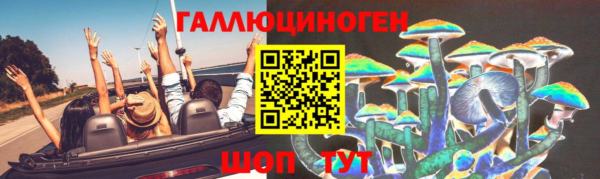 Псилоцибиновые грибы ЛСД  Псилоцибиновые грибы GOLDEN TEACHER  Нурлат  Вход с VPN 